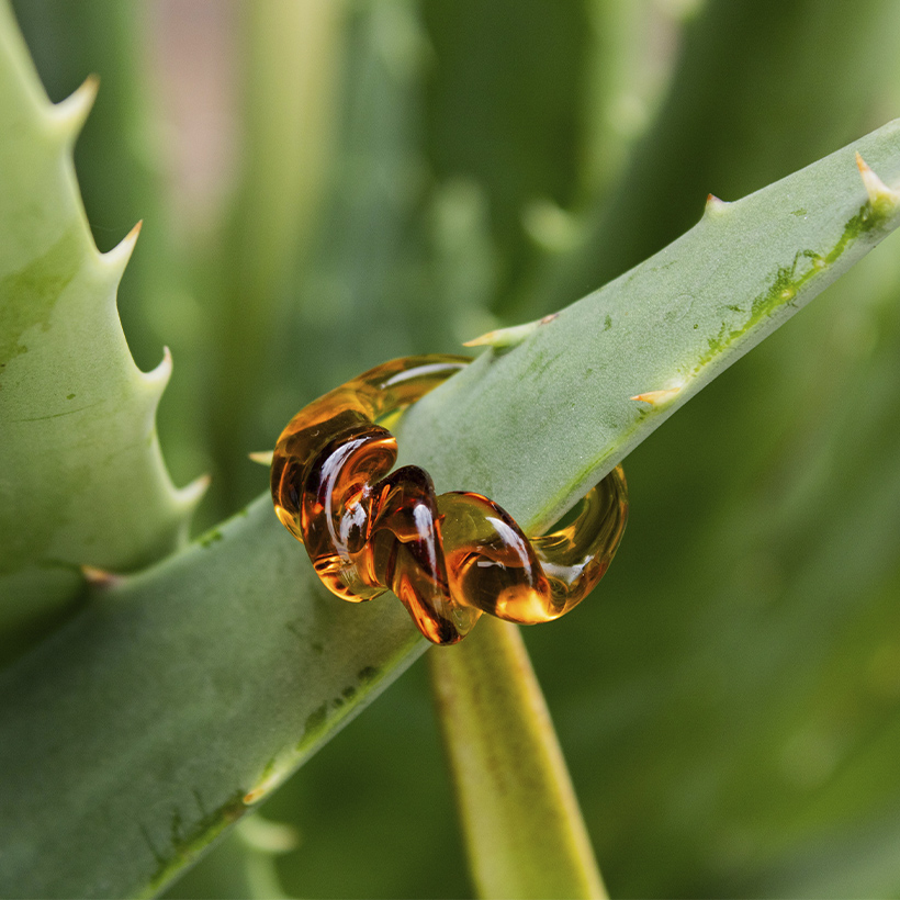 Anillo Espiral - Imagen 3