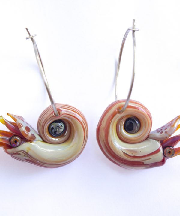 Aretes Nautilus