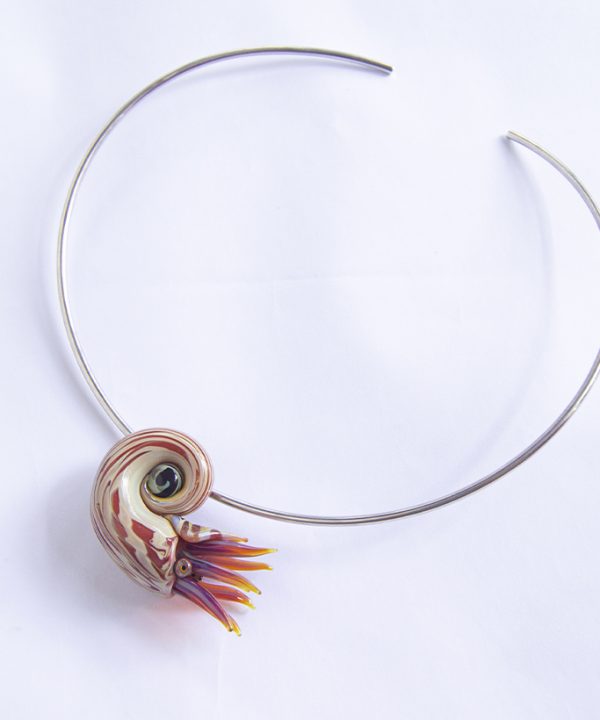 Collar Nautilus