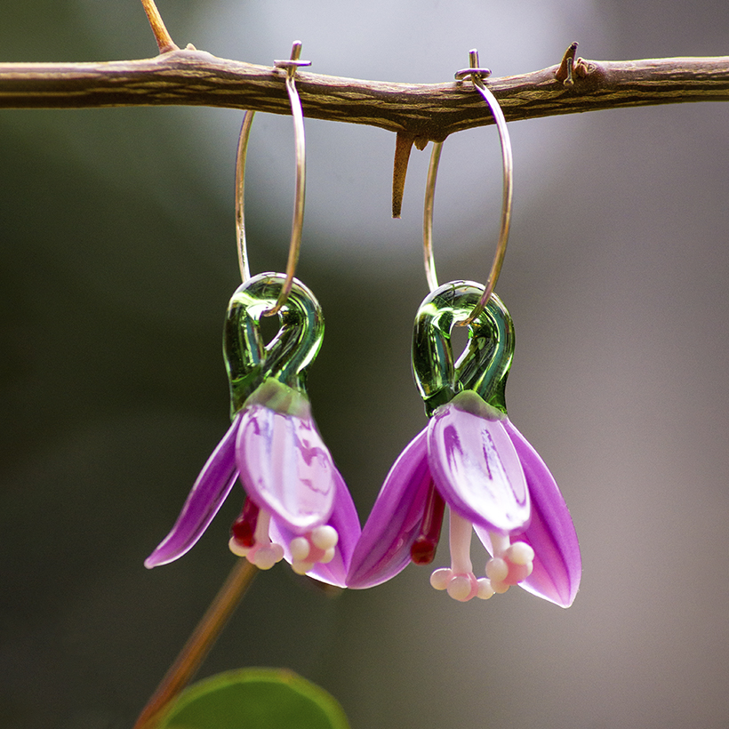 Bugambilias · Flores de vuelo