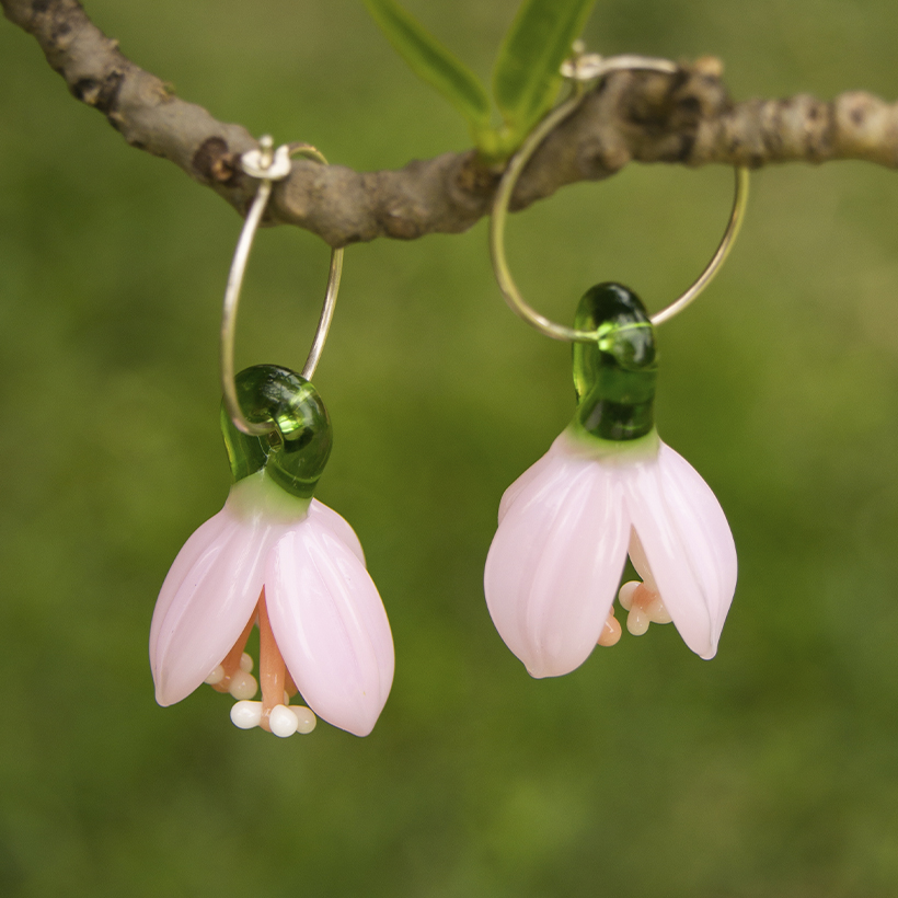 Bugambilias · Flores de vuelo - Imagen 2