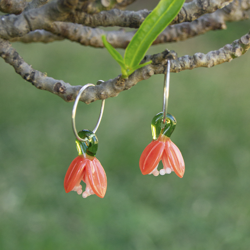 Bugambilias · Flores de vuelo - Imagen 3