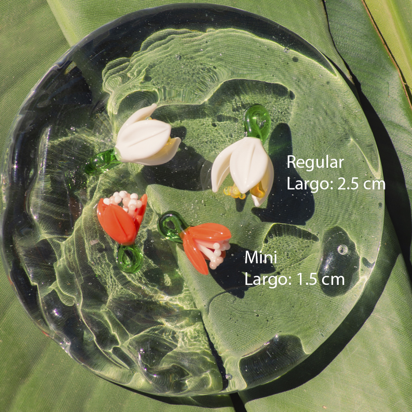 Bugambilias · Flores de vuelo - Imagen 8