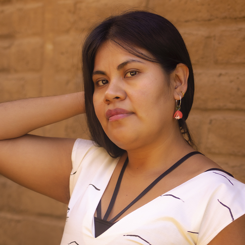 Bugambilias · Flores de vuelo - Imagen 6