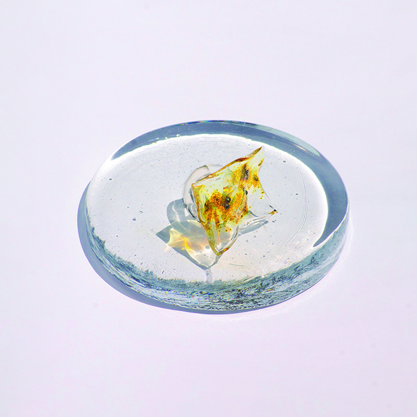 Anillo Semilla