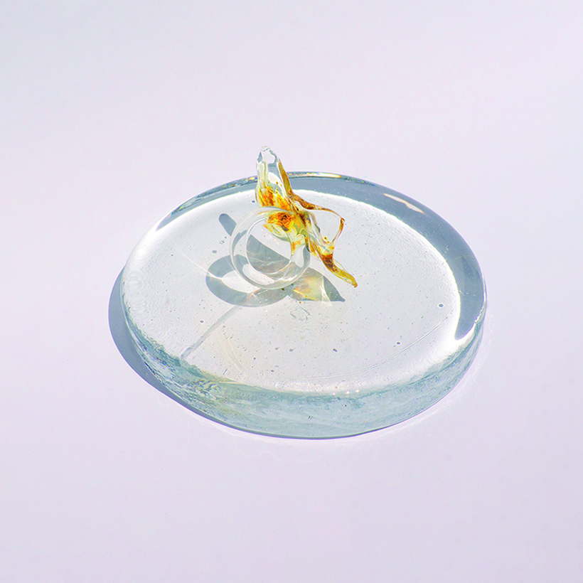 Anillo Semilla - Imagen 2